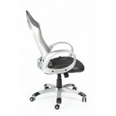 Тесла Серый Топ-Ган