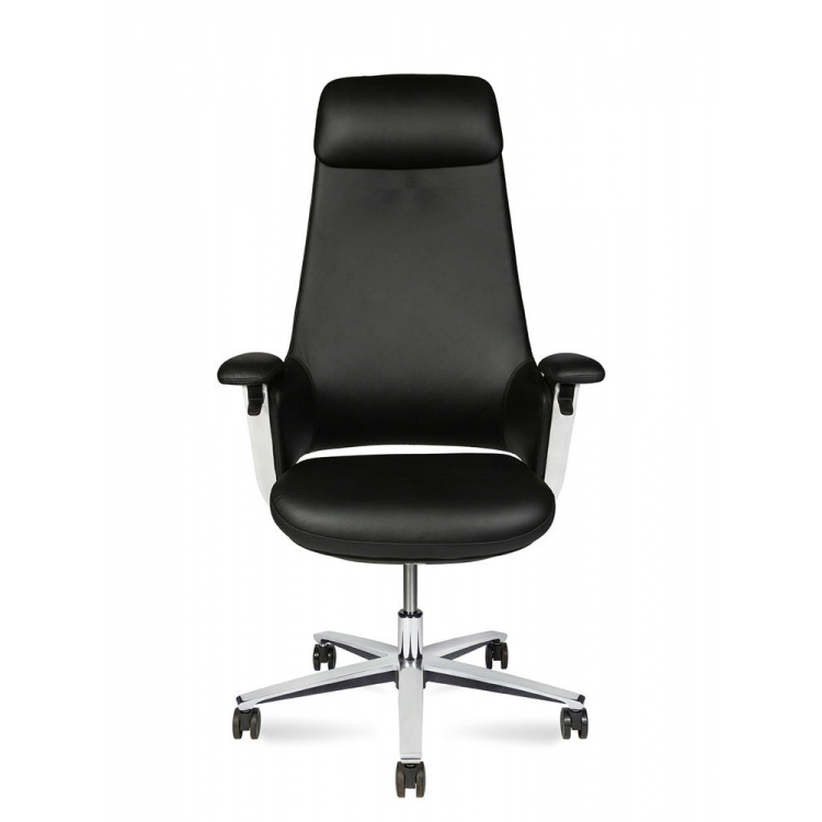 York Черный Donati