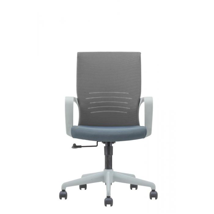 Betta grey Серый Топ-Ган