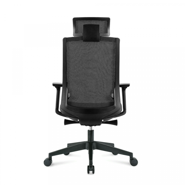 Ruby black Черный Синхро