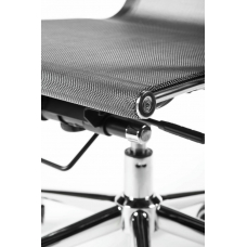 Хельмут LB Серый Топ-Ган