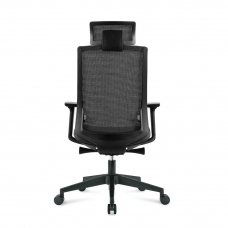 Ruby black Черный Синхро