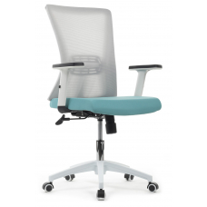 Кресло RCH B259Y-01 Серый/Голубой