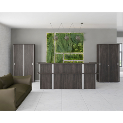 Мебель для приемной Vasanta