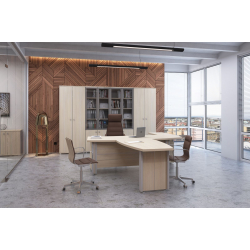 Кабинет руководителя Vasanta