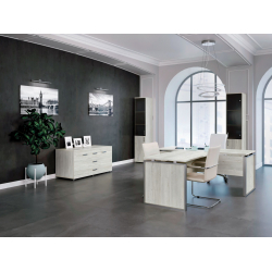 Кабинет руководителя Аргентум-М