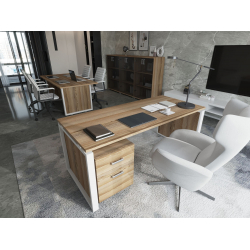 Кабинет руководителя Аргентум-М