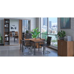 Шкаф-купе Maris