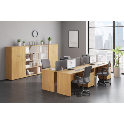 Мебель для персонала Формула