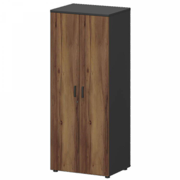 Шкаф для одежды Смарт СМШ-58-6ШД Тип1