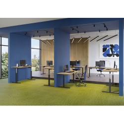 Столы с электроприводом Move Up