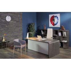 Кабинет руководителя Terra