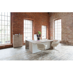 Кабинет руководителя Terra