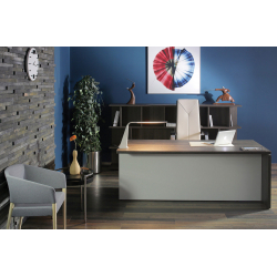 Кабинет руководителя Terra