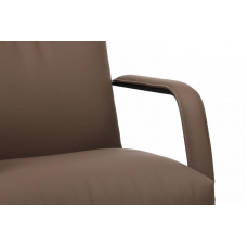 Кресло Otto RCH CV-P001BS Коричневый