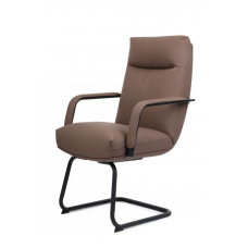 Кресло Otto RCH CV-P001BS Коричневый
