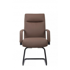 Кресло Otto RCH CV-P001BS Коричневый
