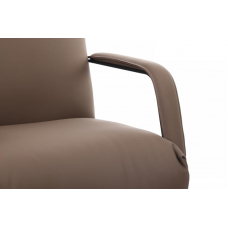 Кресло Otto RCH CM-P001AS Коричневый