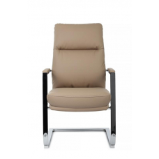 Кресло Leon-SF RCH D916 Бежевый