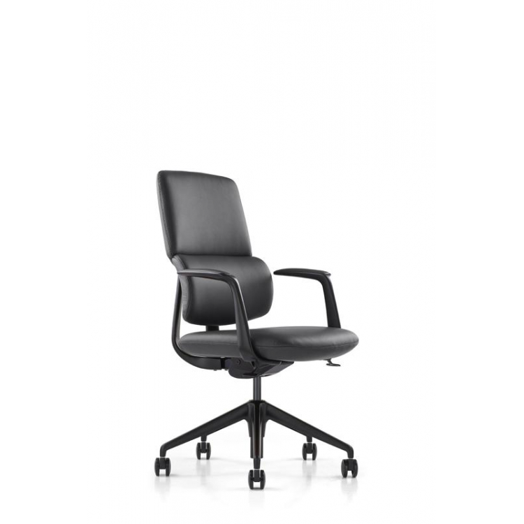 Кресло Avorio-M FK014-B12 Черный