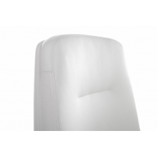 Кресло Alonzo-CF C1711 Белый