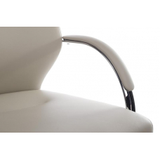 Кресло Alonzo-CF C1711 Светло-серый