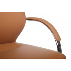 Кресло Alonzo-CF C1711 Светло-коричневый