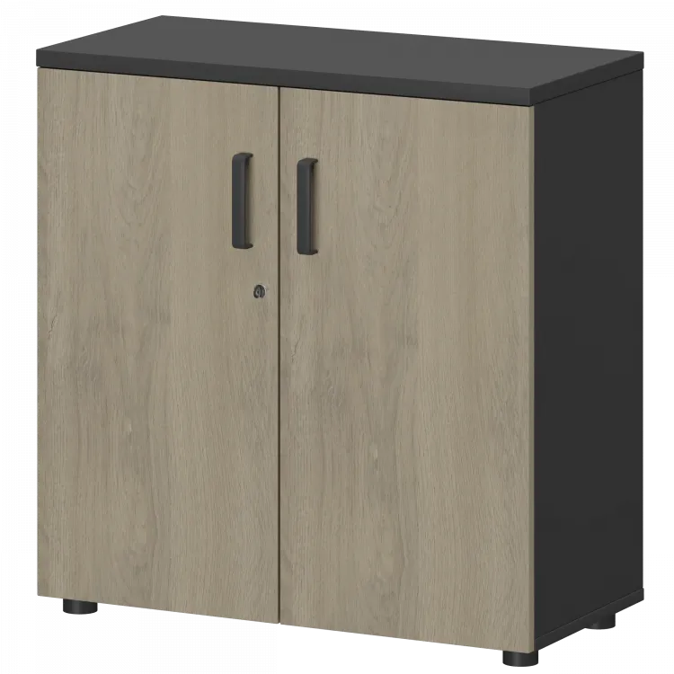 Шкаф СМШ-28Д Тип1 Графит/Кронберг 792x380x836 Смарт