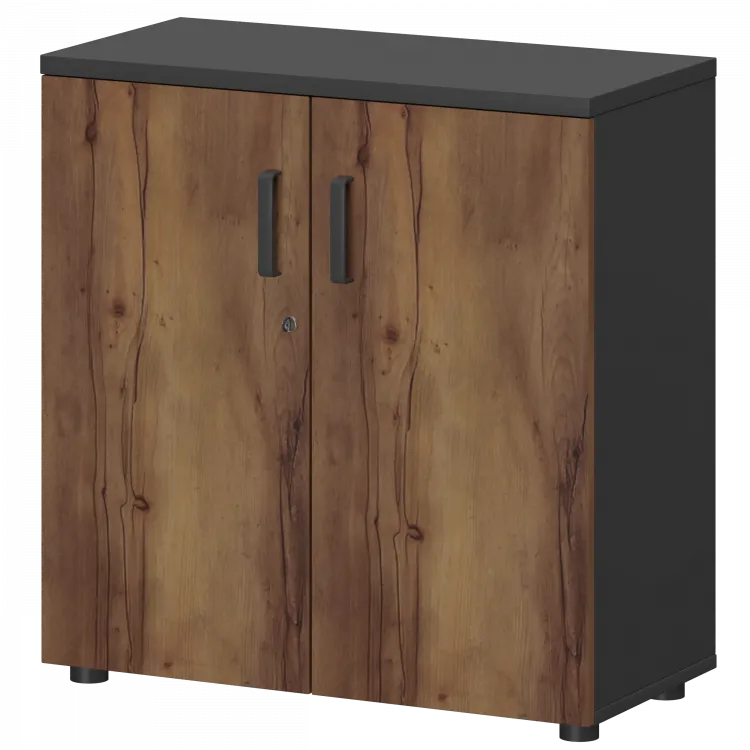 Шкаф СМШ-28Д Тип1 Графит/Таксония 792x380x836 Смарт