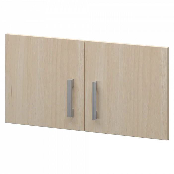 Двери для антресоли А-603.Ф Бук 710x18x390 Арго