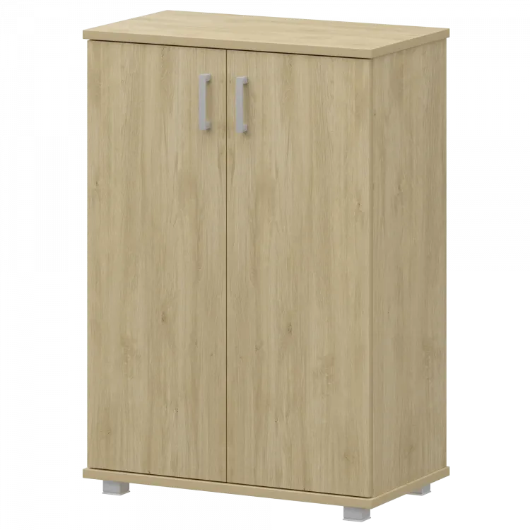 Стеллаж низкий закрытый "НТ-480;НТ-601.2" Баттл Рок 800x445x1280 Аргентум