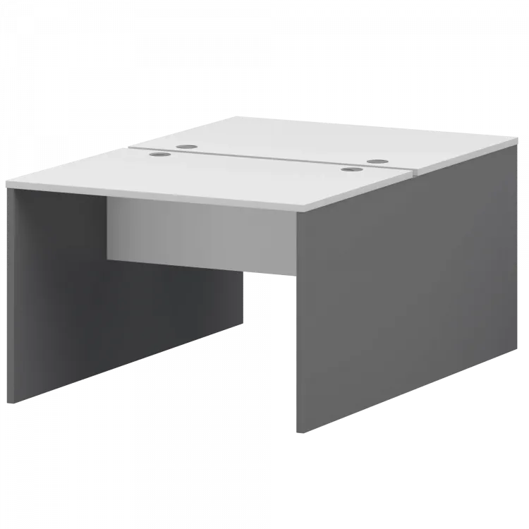 Бенч двойной Тип1 СМСР25-2.10.60 Графит/Белый 1000x1236x750 Смарт