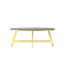 Журнальный стол 100*50 АЛЬБА золото стекло черное