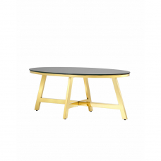 Журнальный стол 100*50 АЛЬБА золото стекло черное