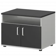 Тумба для оргтехники СМТ-2ДН Тип2 Белый/Графит 800x600x625 Смарт