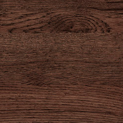 Дуб апрельский