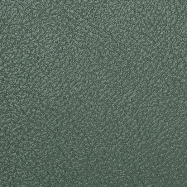 Green Verdino кожзам